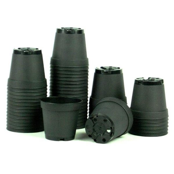 Poppelmann Poppelmann T55BL817 2 in. Plastic Pot; Black - Pack of 50 T55BL817